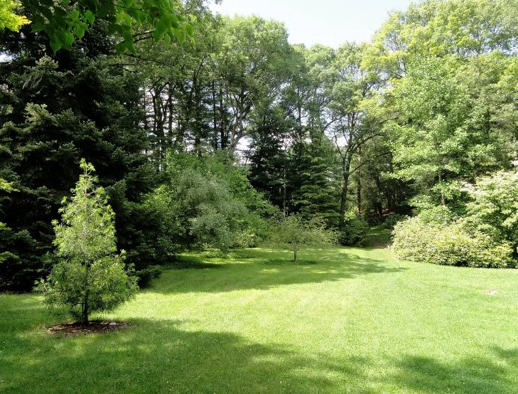 Wellesley College Botanic Gardens, United States